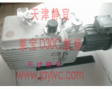 莱宝双级旋片真空泵维修D16CD30CD60C
